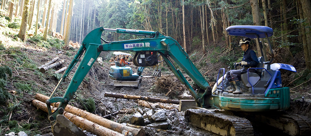 篠山山奥地における林業活動2