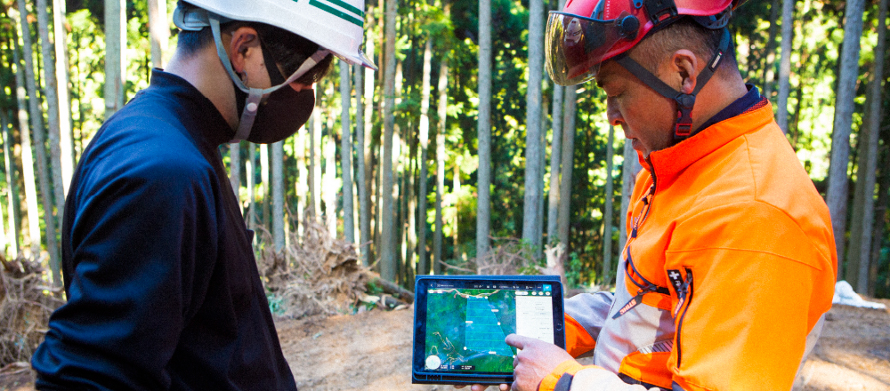 篠山山奥地における林業活動3